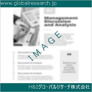グローバルリサーチ調査資料のイメージ